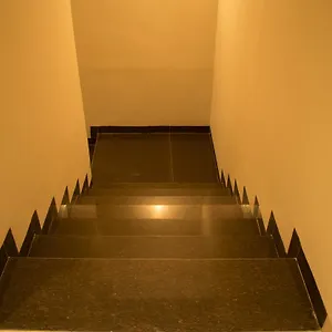Chancellor Hotel